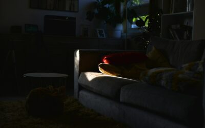 Slik velger du en god animasjonsfilm som hele gjengen faktisk har lyst til å se