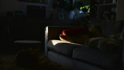 Slik velger du en god animasjonsfilm som hele gjengen faktisk har lyst til å se